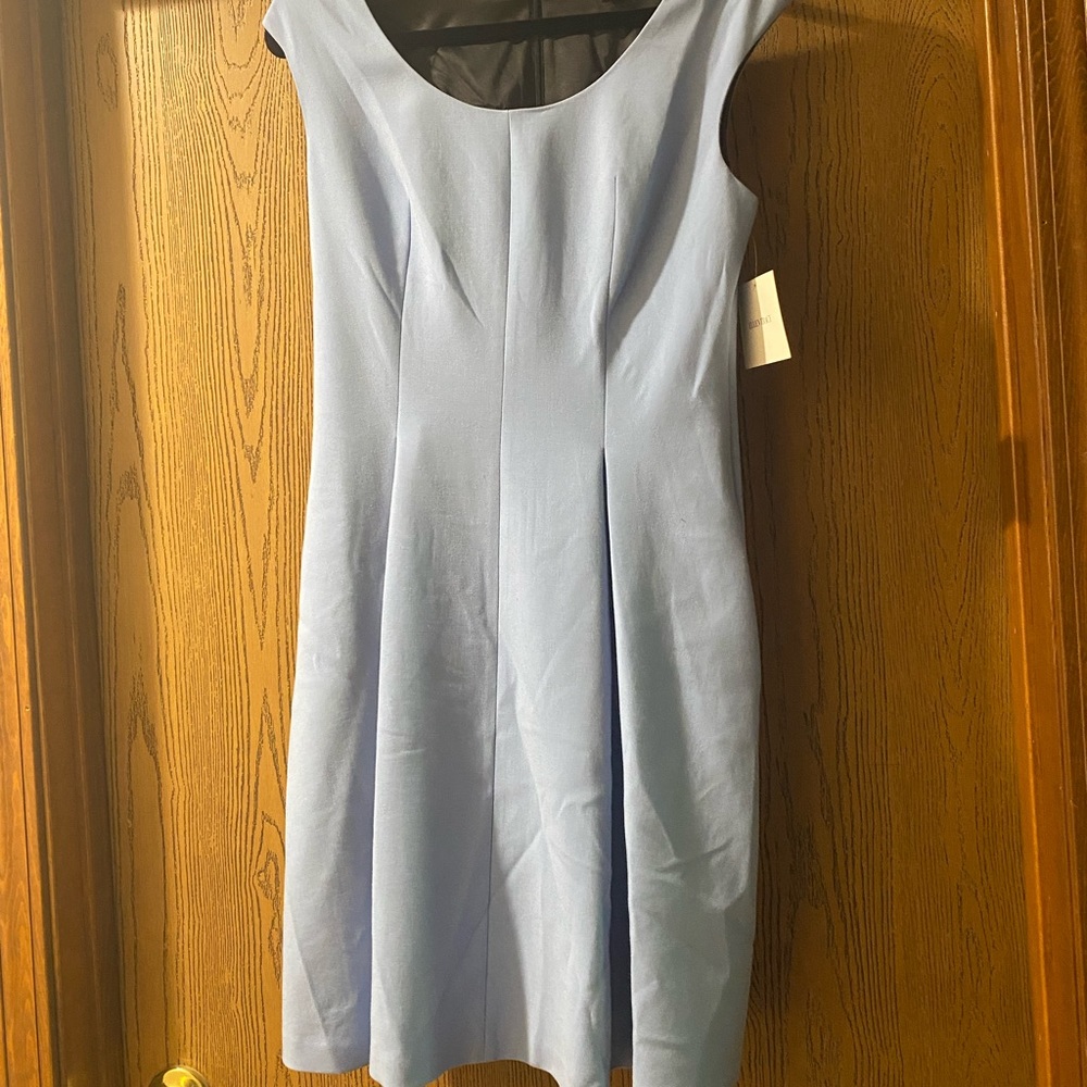 NWT Ellen Tracy Bluebell Zen Master Dress